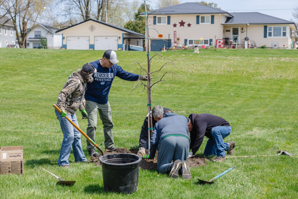 Volunteers plant trees in Dyersville Iowa